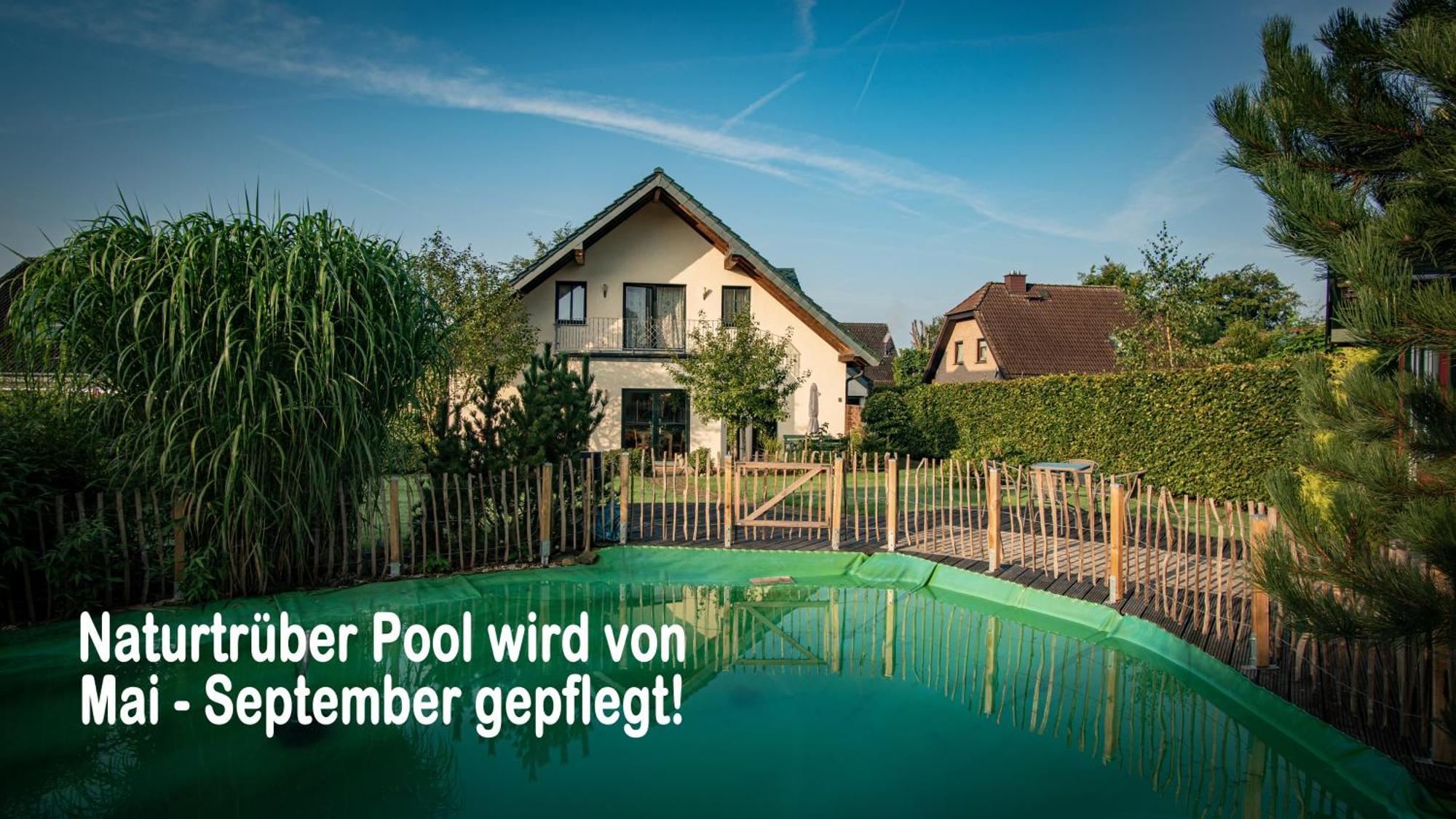 Ferienhaus Mountfrosch Mit Sauna Und Naturpool Моншау Экстерьер фото